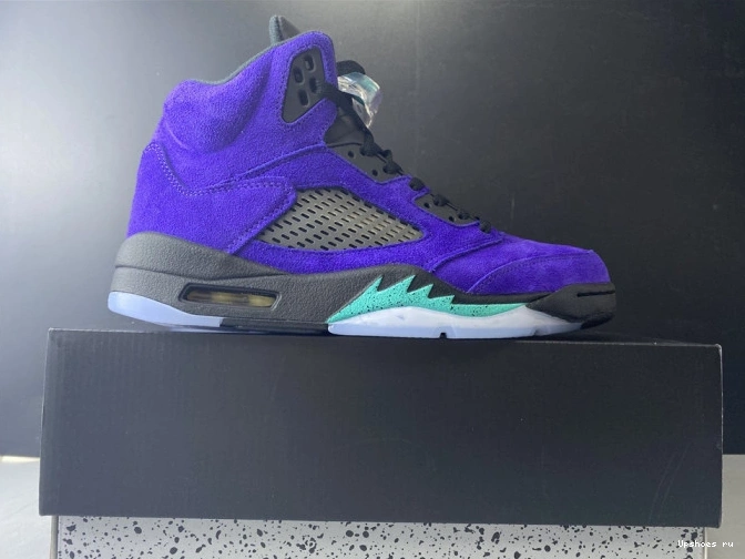 Jordan Retro Grape 136027-500 Alternate Air 5 0519